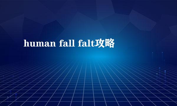 human fall falt攻略