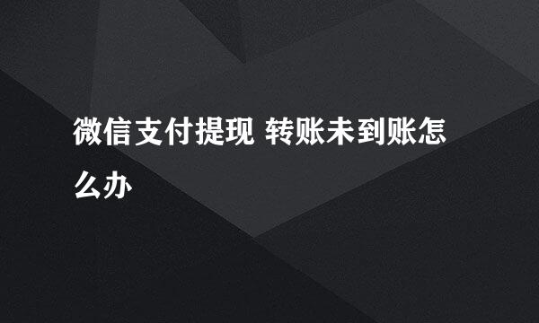 微信支付提现 转账未到账怎么办