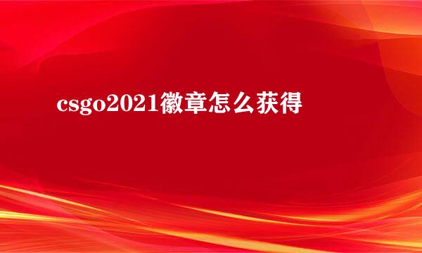 csgo2021徽章怎么获得