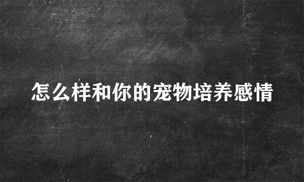 怎么样和你的宠物培养感情