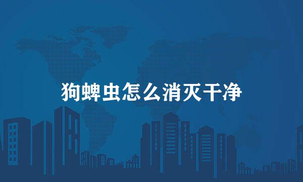 狗蜱虫怎么消灭干净