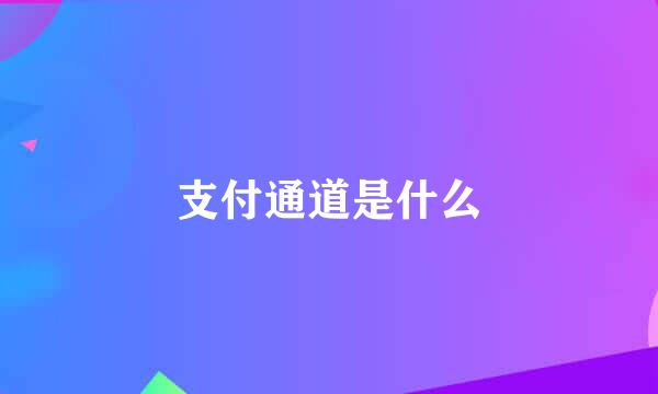 支付通道是什么