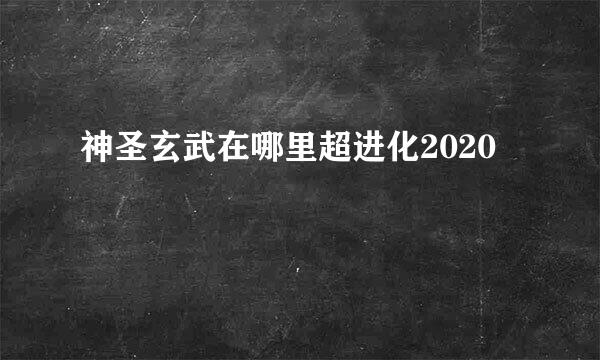 神圣玄武在哪里超进化2020
