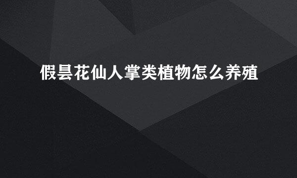 假昙花仙人掌类植物怎么养殖