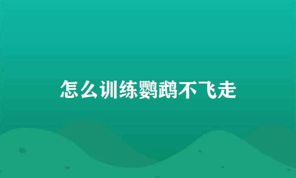 怎么训练鹦鹉不飞走