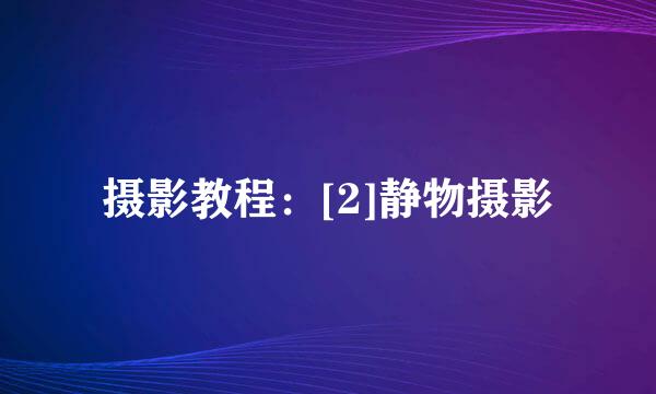 摄影教程：[2]静物摄影
