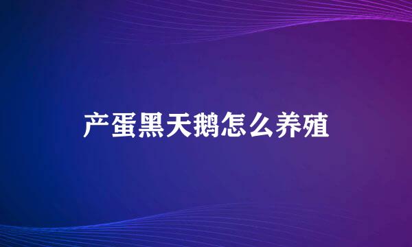 产蛋黑天鹅怎么养殖