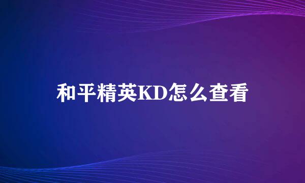 和平精英KD怎么查看