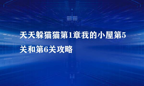 天天躲猫猫第1章我的小屋第5关和第6关攻略