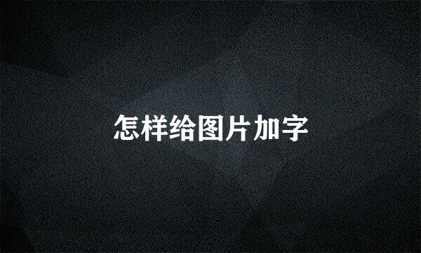 怎样给图片加字