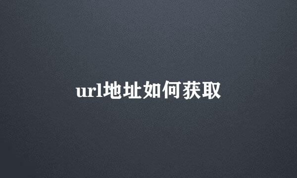 url地址如何获取