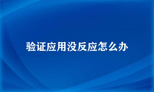 验证应用没反应怎么办