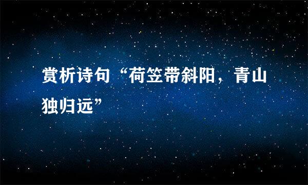 赏析诗句“荷笠带斜阳,青山独归远”
