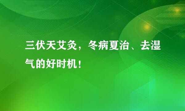 三伏天艾灸，冬病夏治、去湿气的好时机！