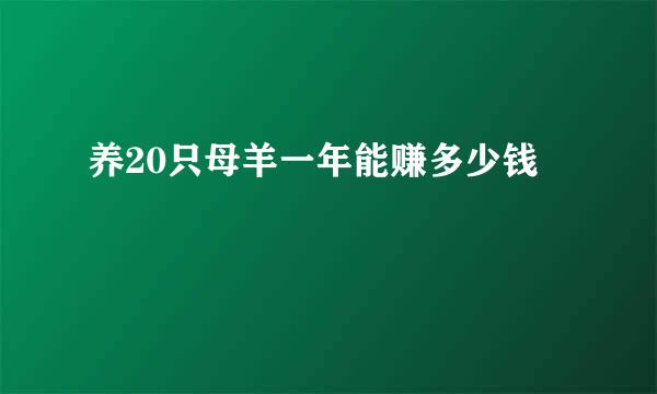 养20只母羊一年能赚多少钱