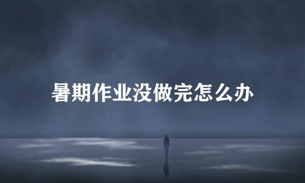 暑期作业没做完怎么办