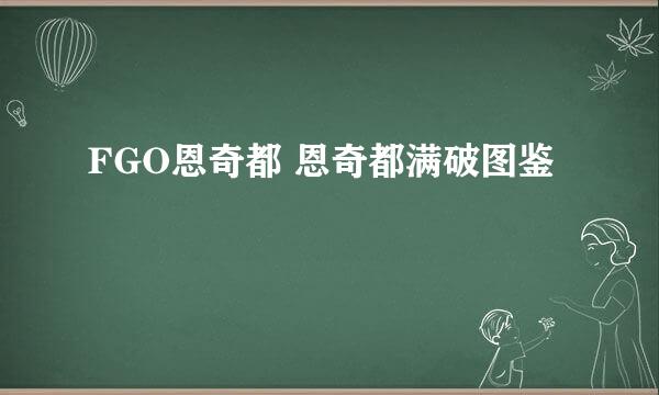 FGO恩奇都 恩奇都满破图鉴