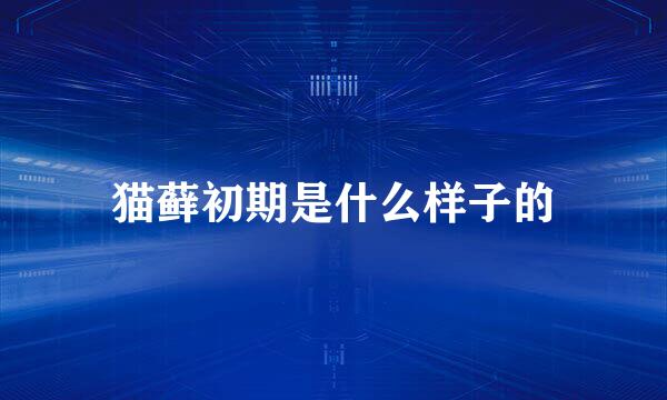 猫藓初期是什么样子的