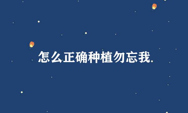 怎么正确种植勿忘我