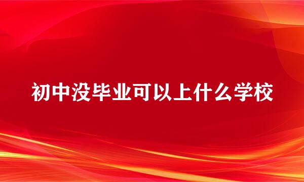 初中没毕业可以上什么学校