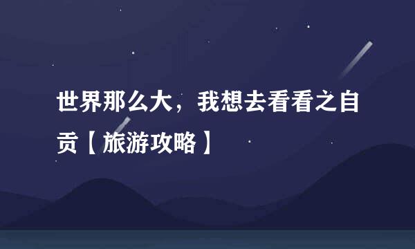 世界那么大，我想去看看之自贡【旅游攻略】