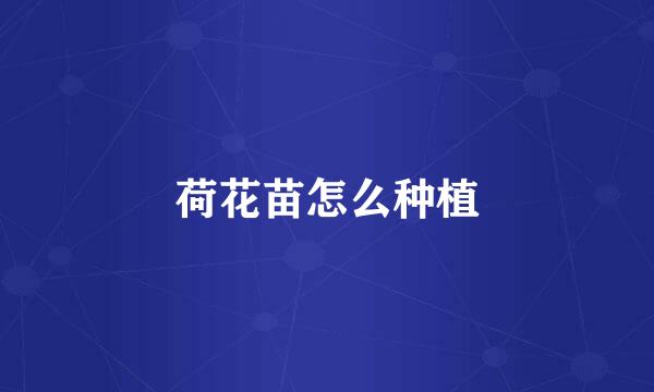 荷花苗怎么种植