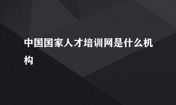 中国国家人才培训网是什么机构