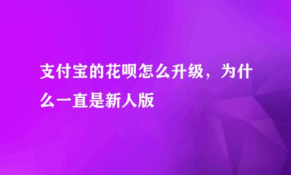 支付宝的花呗怎么升级，为什么一直是新人版