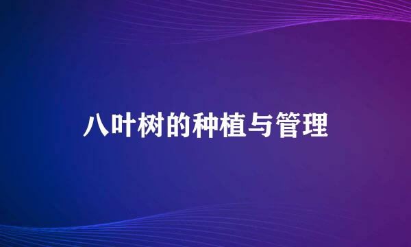 八叶树的种植与管理