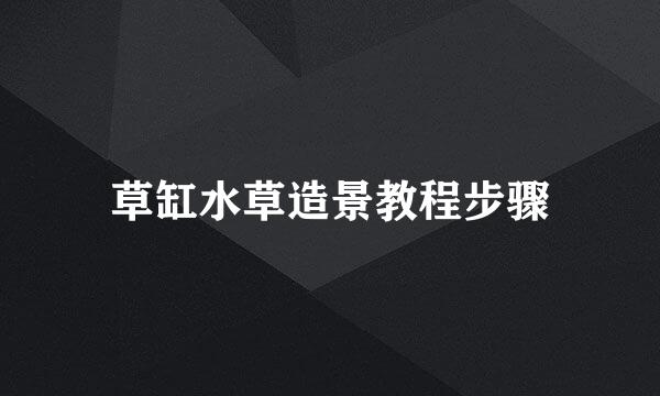 草缸水草造景教程步骤