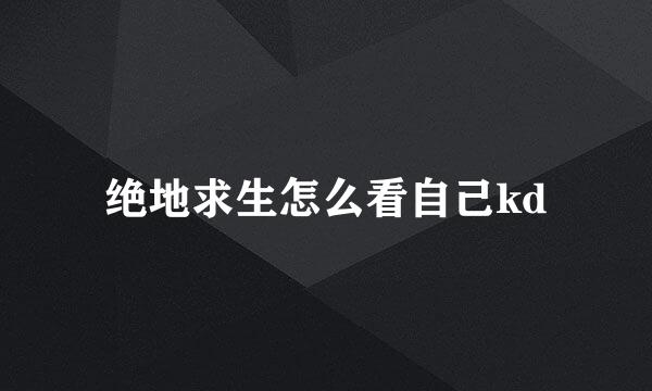 绝地求生怎么看自己kd