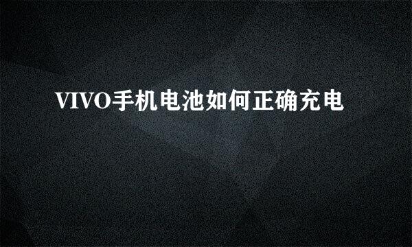 VIVO手机电池如何正确充电