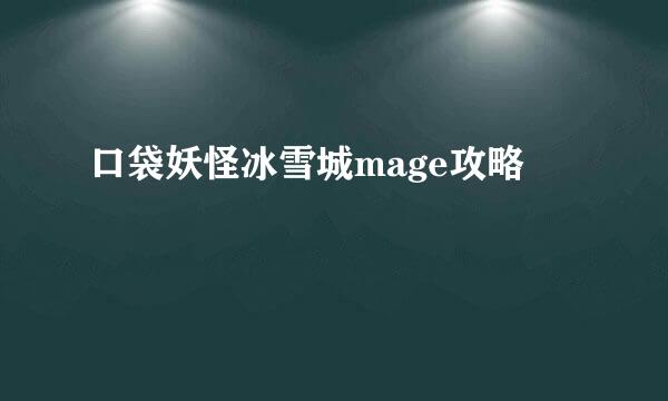 口袋妖怪冰雪城mage攻略