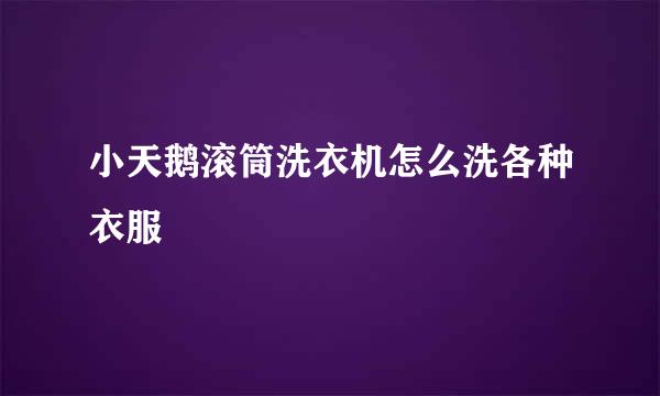 小天鹅滚筒洗衣机怎么洗各种衣服