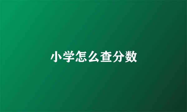 小学怎么查分数