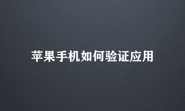 苹果手机如何验证应用