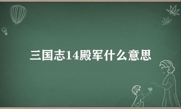 三国志14殿军什么意思