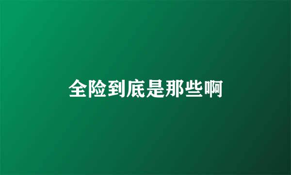 全险到底是那些啊