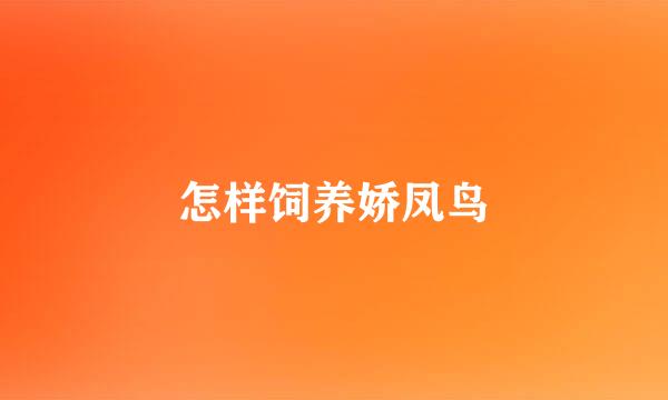 怎样饲养娇凤鸟