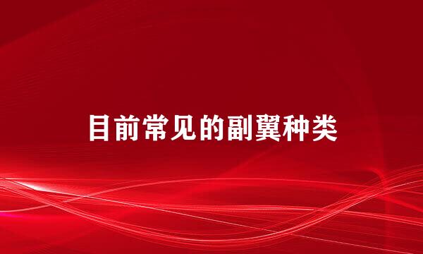 目前常见的副翼种类