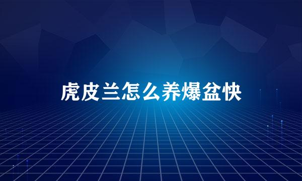 虎皮兰怎么养爆盆快