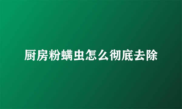 厨房粉螨虫怎么彻底去除