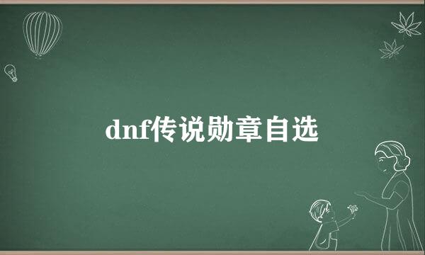 dnf传说勋章自选