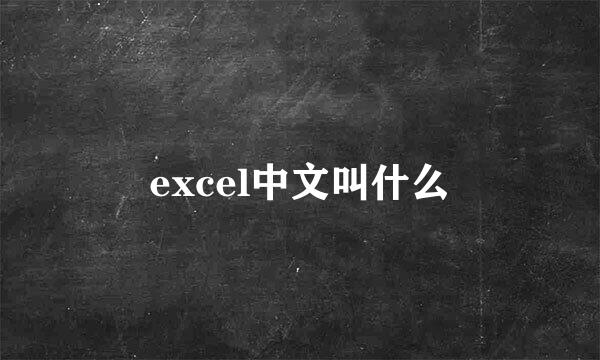 excel中文叫什么