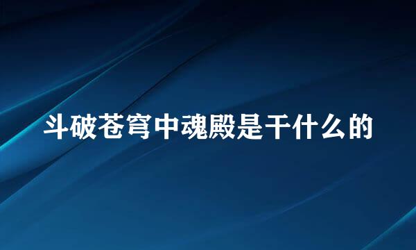 斗破苍穹中魂殿是干什么的