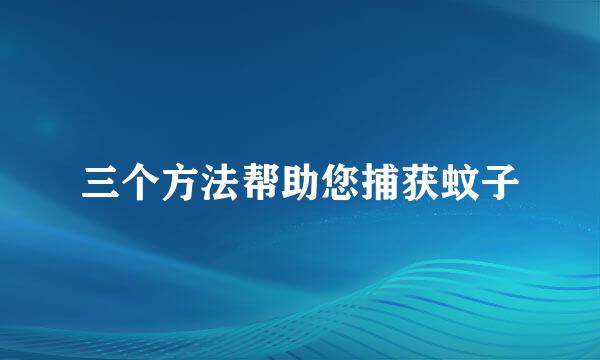 三个方法帮助您捕获蚊子