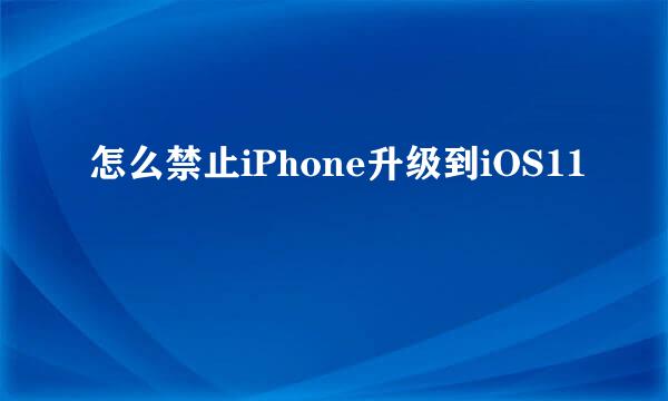怎么禁止iPhone升级到iOS11