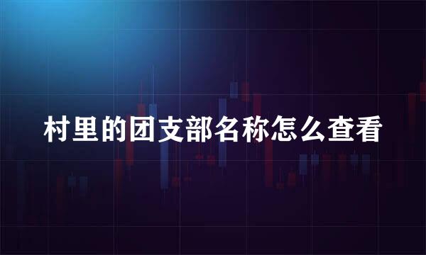 村里的团支部名称怎么查看