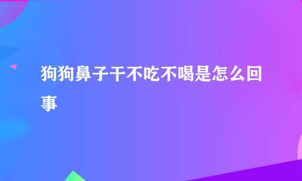 狗狗鼻子干不吃不喝是怎么回事