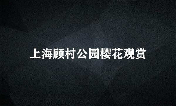 上海顾村公园樱花观赏